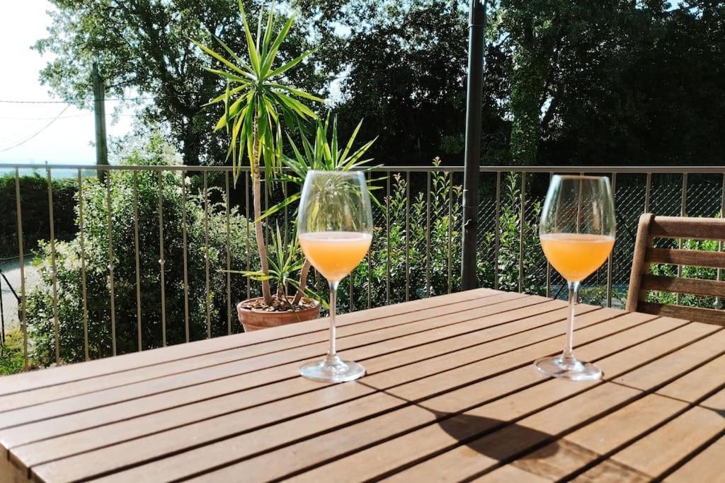 Charmante Maison Avec Jardin Aux Portes Des Gorges De L'ardeche Ferienhaus Saint-Julien-de-Peyrolas